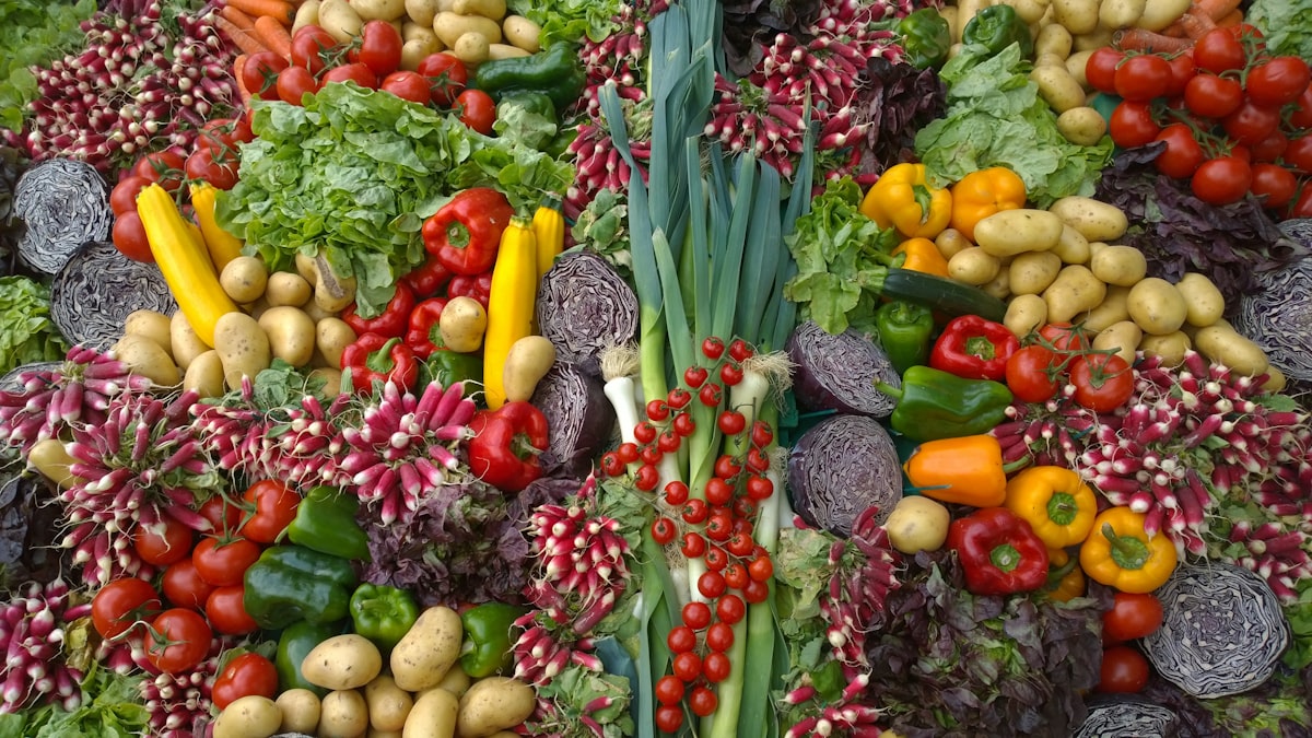 Pilares fundamentales de la nutrición